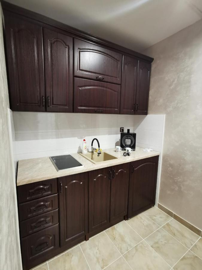 Panorama Apartman Nowy Sad Zewnętrze zdjęcie